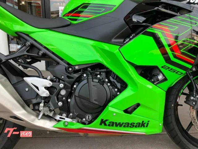 Kawasaki Ninja 250 2023 — миниатюра 3