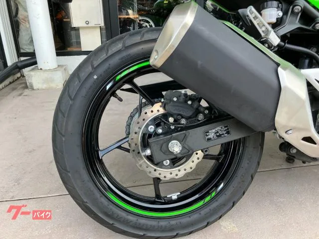 Kawasaki Ninja 250 2023 — миниатюра 4