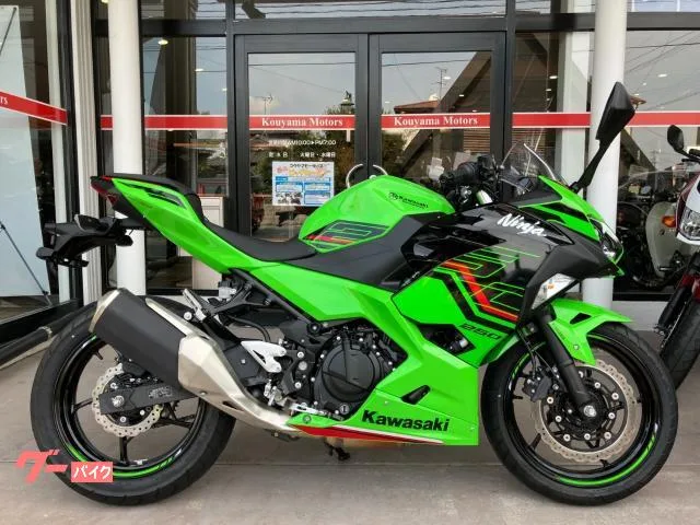 Kawasaki Ninja 250 2023 — фото 1, купить с доставкой в Москву