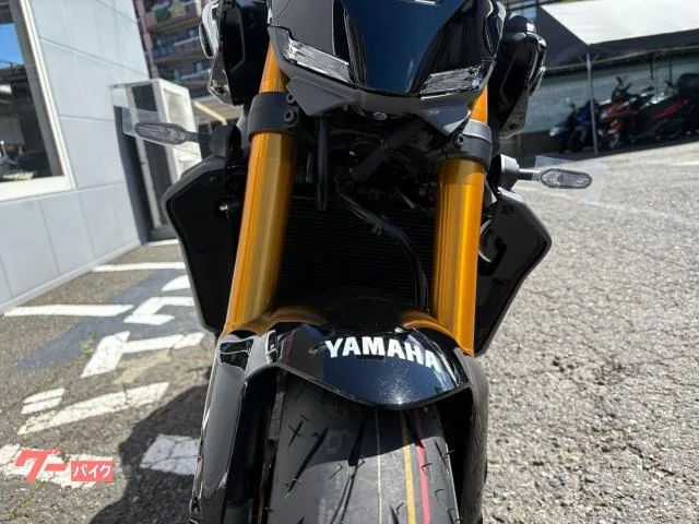 Yamaha MT-09 SP 2025 — миниатюра 5
