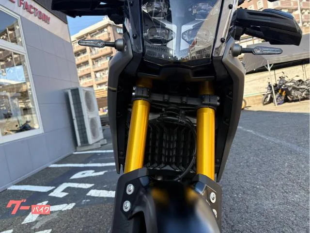 Yamaha 700 YSP 2025 — миниатюра 5