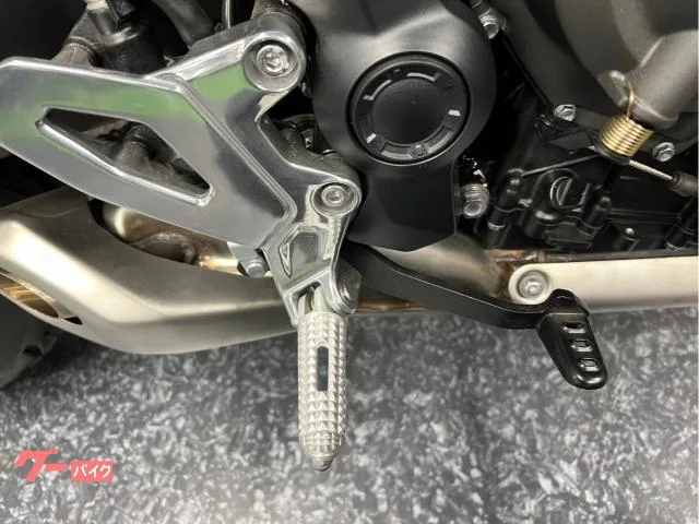 TRIUMPH 660 2023 — миниатюра 2