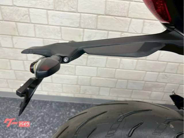 TRIUMPH 660 2024 — миниатюра 2
