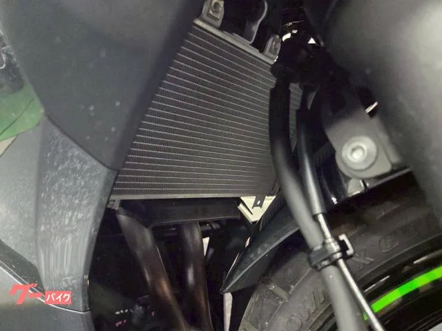 Kawasaki Ninja 250 WRS USB 2023 — миниатюра 2
