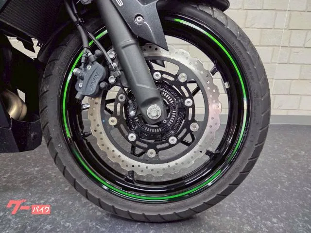 Kawasaki Ninja 250 WRS USB 2023 — миниатюра 4