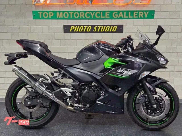 Kawasaki Ninja 250 WRS USB 2023 — фото 1, купить с доставкой в Москву
