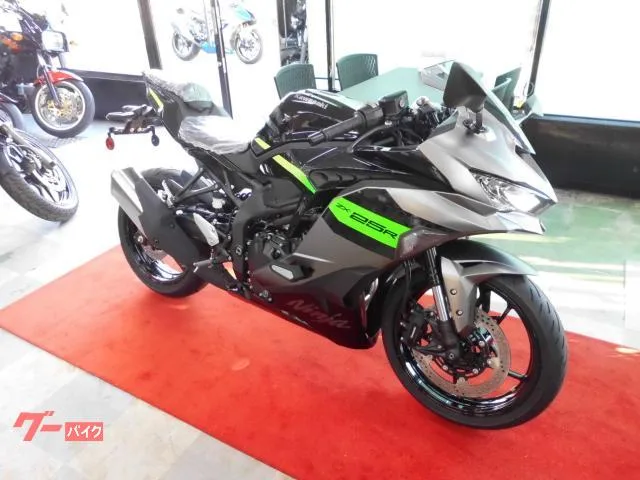Kawasaki Ninja ZX-25R SE ABS/ / 2026 — фото 1, купить с доставкой в Москву