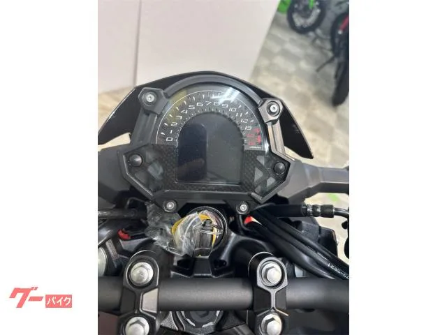 Kawasaki Z250 26 ABS 2026 — миниатюра 2