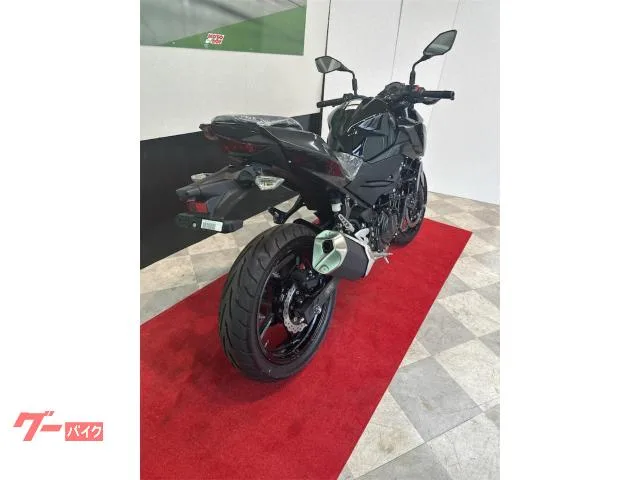 Kawasaki Z250 26 ABS 2026 — миниатюра 4