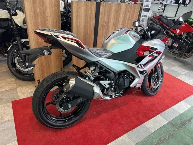 Kawasaki Ninja 250 ABS 2026 — миниатюра 3