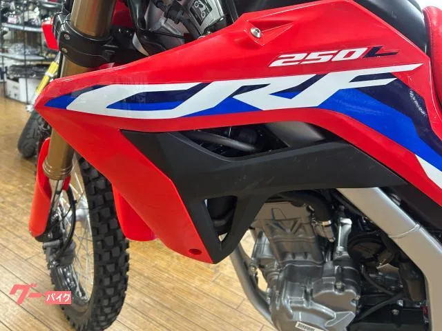 Honda CRF250LS 2024 — миниатюра 5