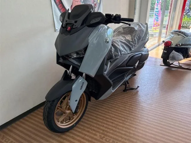 Yamaha X-MAX250 NEW 2025 — миниатюра 2