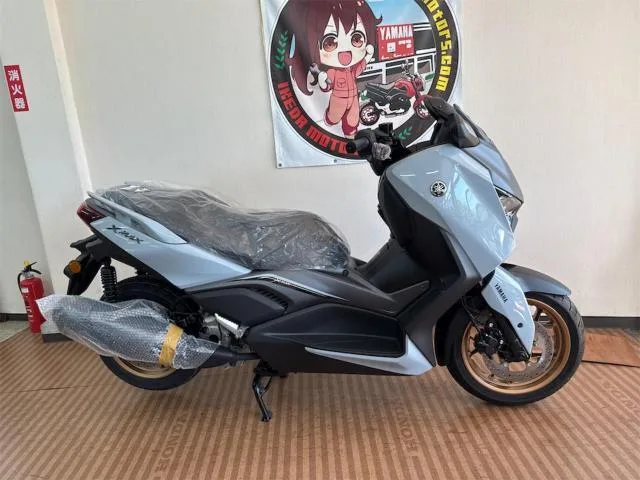 Yamaha X-MAX250 NEW 2025 — миниатюра 3