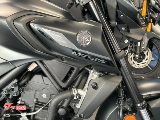 Yamaha MT-25 2022 — миниатюра 3