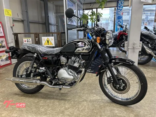 Kawasaki S1 2026 — фото 1, купить с доставкой в Москву