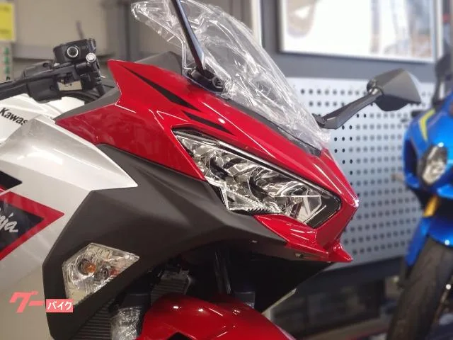 Kawasaki Ninja 250 2026 — миниатюра 3