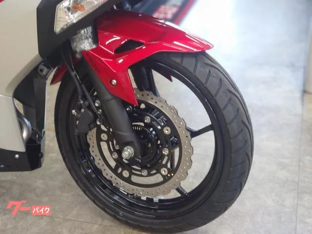Kawasaki Ninja 250 2026 — миниатюра 4