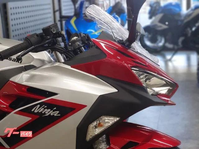 Kawasaki Ninja 250 2026 — миниатюра 5