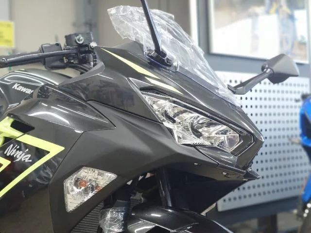 Kawasaki Ninja 250 2026 — миниатюра 3