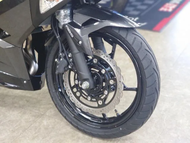 Kawasaki Ninja 250 2026 — миниатюра 4