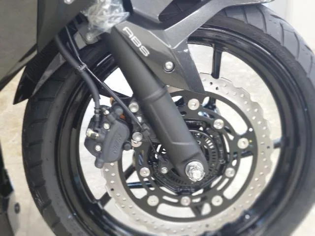 Kawasaki Ninja 250 2026 — миниатюра 5