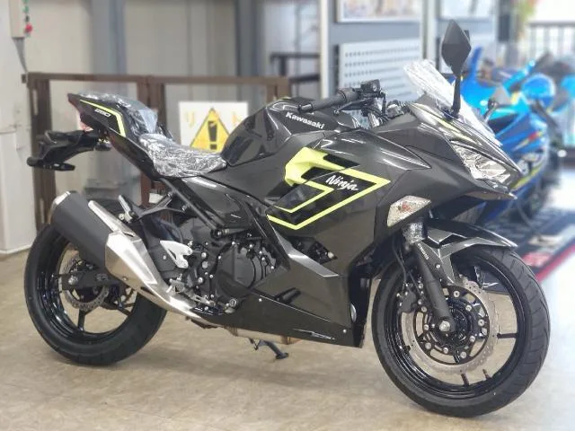 Kawasaki Ninja 250 2026 — фото 1, купить с доставкой в Москву