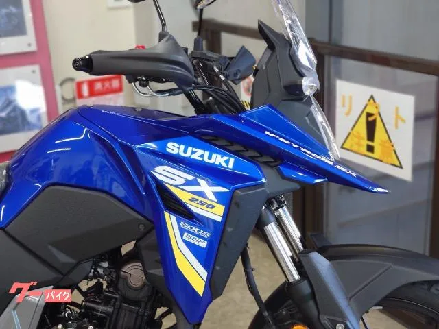 Suzuki V- 250SX 2026 — миниатюра 5