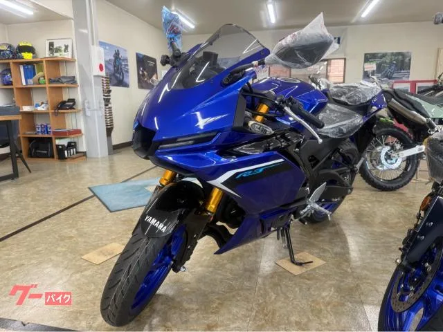 Yamaha YZF-R3 2025 — миниатюра 4