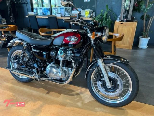 Kawasaki W800 ETC 3 2024 — миниатюра 2