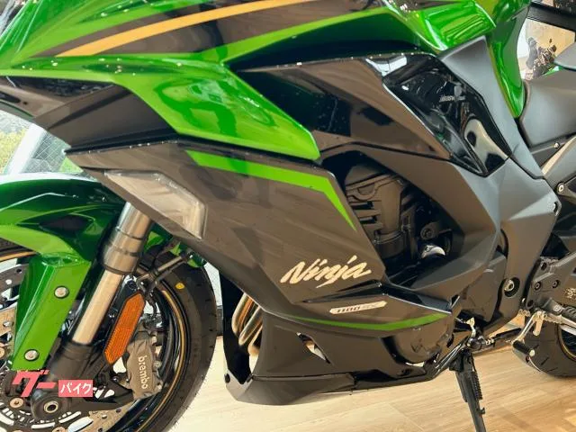 Kawasaki Ninja 1100 SX SE OHLINS BREMBO ETC 2025 — миниатюра 2