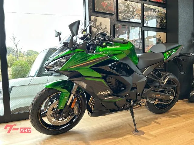 Kawasaki Ninja 1100 SX SE OHLINS BREMBO ETC 2025 — миниатюра 3