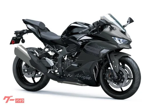 Kawasaki Ninja ZX-4R SE 2026 — миниатюра 2
