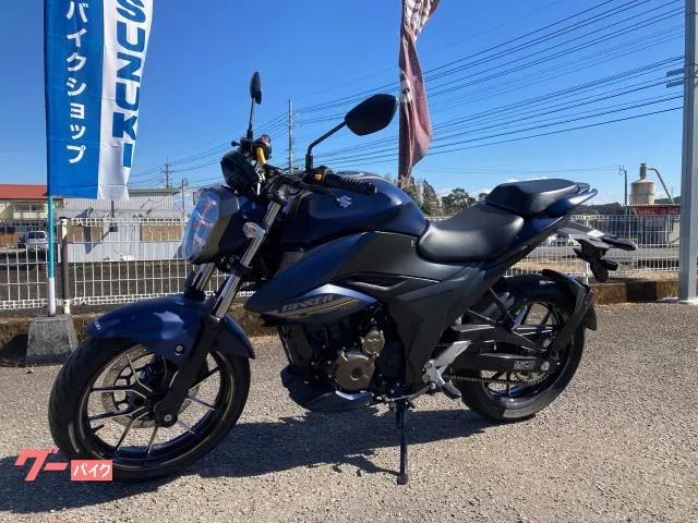 Suzuki GIXXER 250 2024 — фото 1, купить с доставкой в Москву