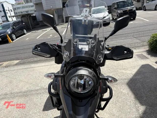 Suzuki V- 250SPTADAO 2023 — миниатюра 3