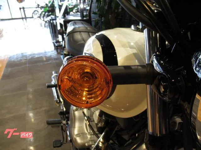 Kawasaki W230 2025 21 2025 — миниатюра 3