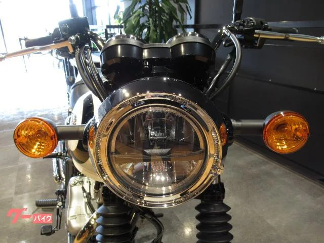 Kawasaki W230 2025 21 2025 — миниатюра 5