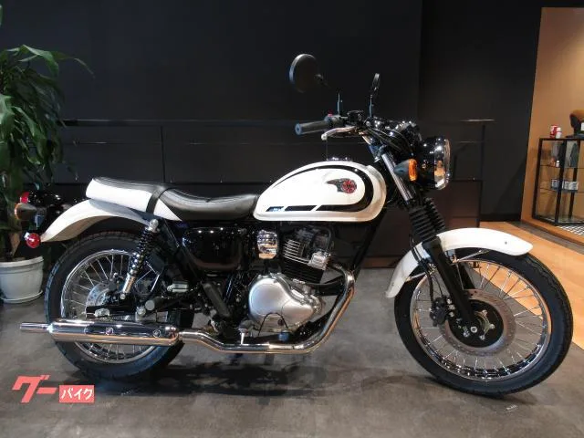 Kawasaki W230 2025 21 2025 — фото 1, купить с доставкой в Москву