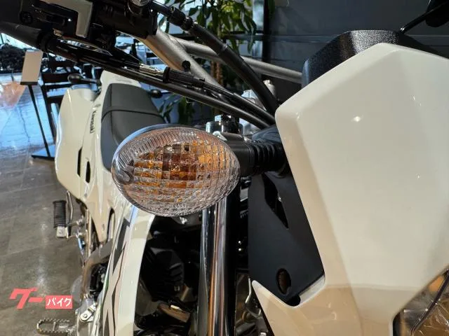 Kawasaki KLX230 S 21 2026 — миниатюра 2