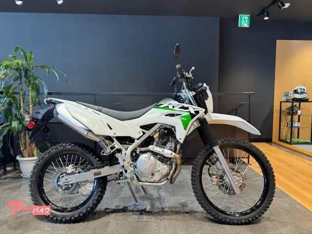 Kawasaki KLX230 S 21 2026 — фото 1, купить с доставкой в Москву
