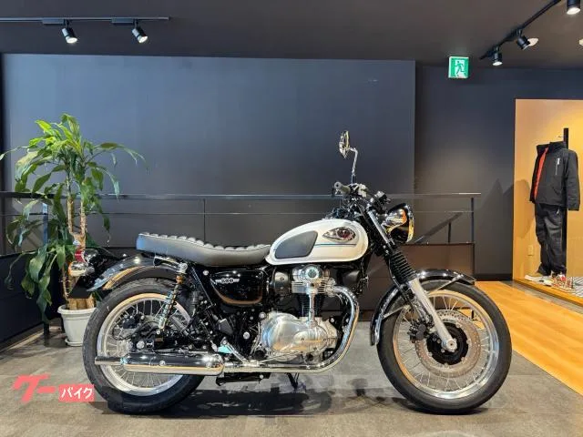 Kawasaki W800 2026 — фото 1, купить с доставкой в Москву