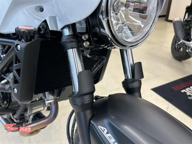 Suzuki SV650X 2025 — миниатюра 2