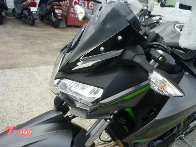 Kawasaki Z250 2024 — миниатюра 2