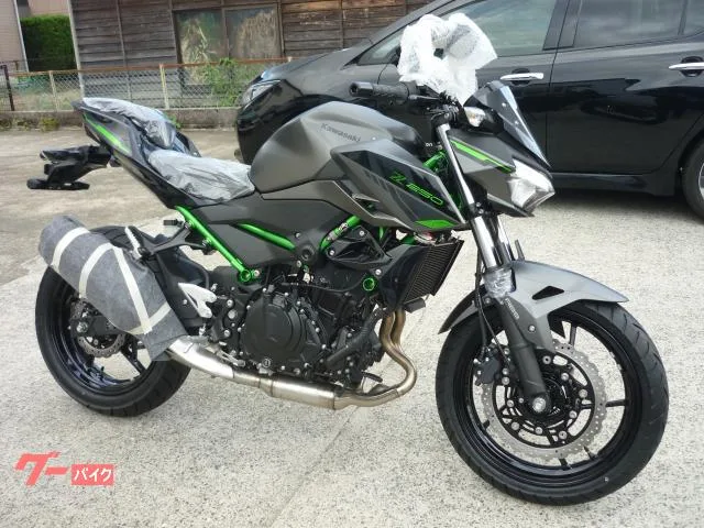 Kawasaki Z250 2024 — фото 1, купить с доставкой в Москву