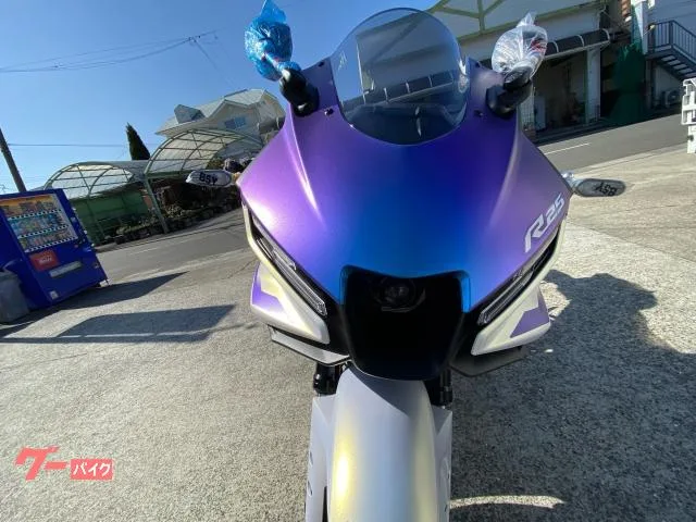 Yamaha YZF-R25 2025 — миниатюра 3