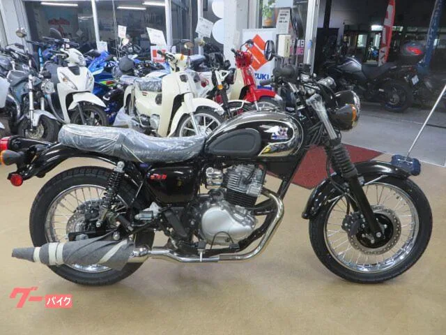 Kawasaki S1 2026 — миниатюра 4