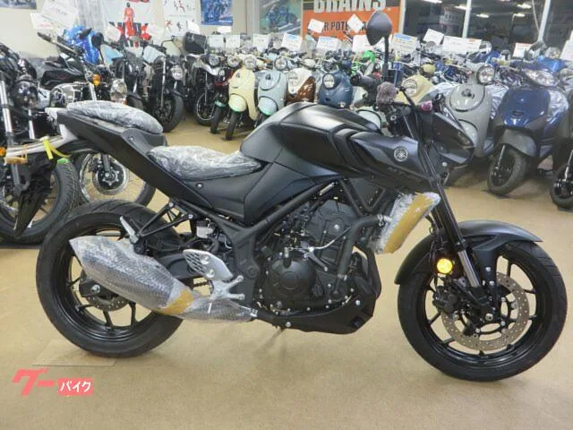 Yamaha MT-25 2024 — миниатюра 2