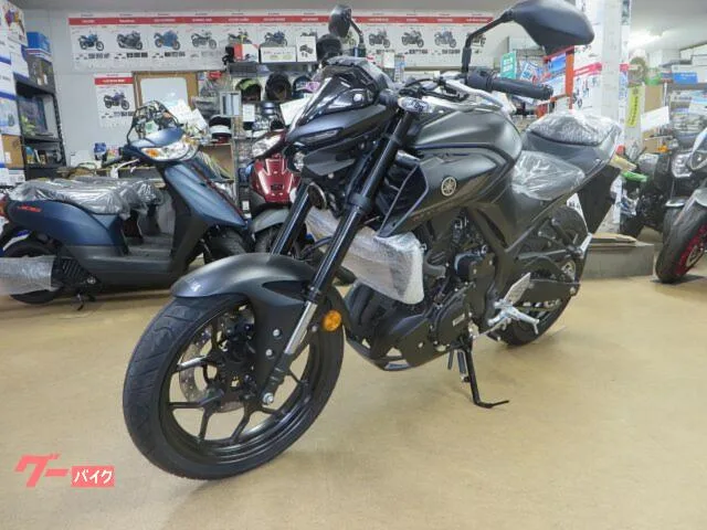 Yamaha MT-25 2024 — миниатюра 3