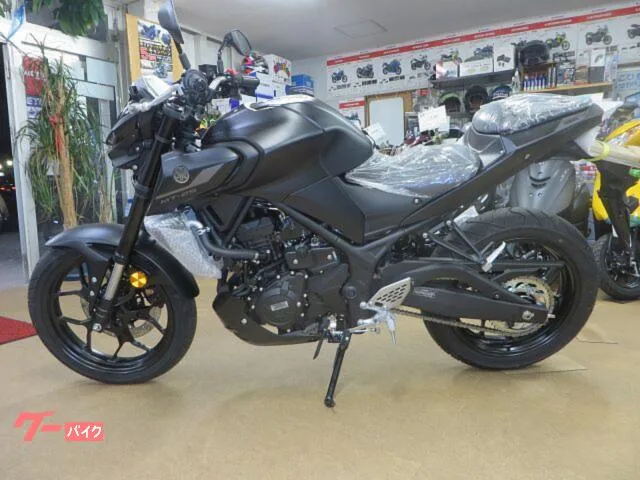 Yamaha MT-25 2024 — миниатюра 4