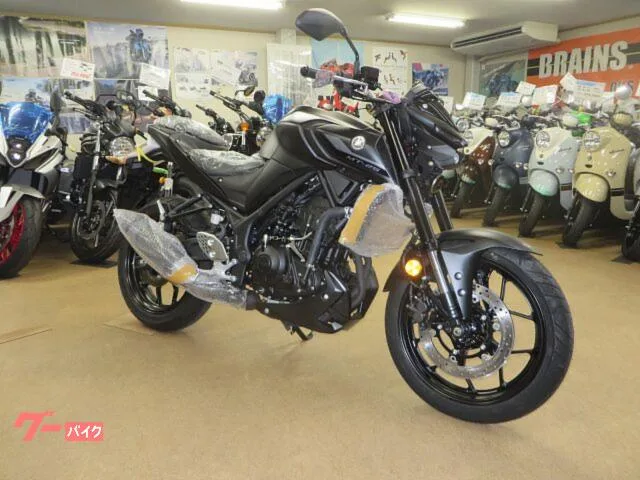 Yamaha MT-25 2024 — фото 1, купить с доставкой в Москву