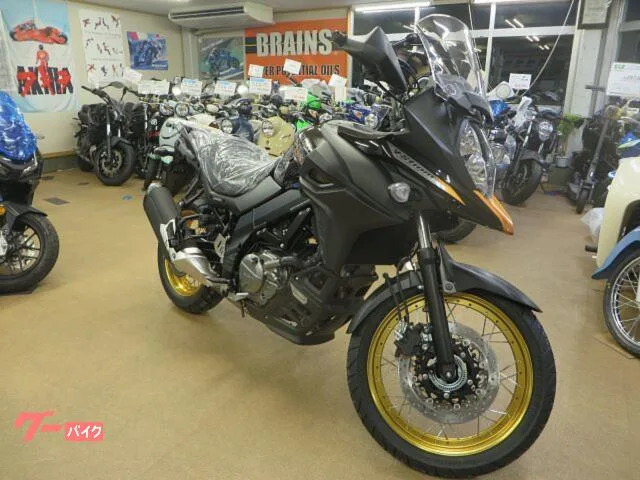 Suzuki V- 650XT 2025 — фото 1, купить с доставкой в Москву